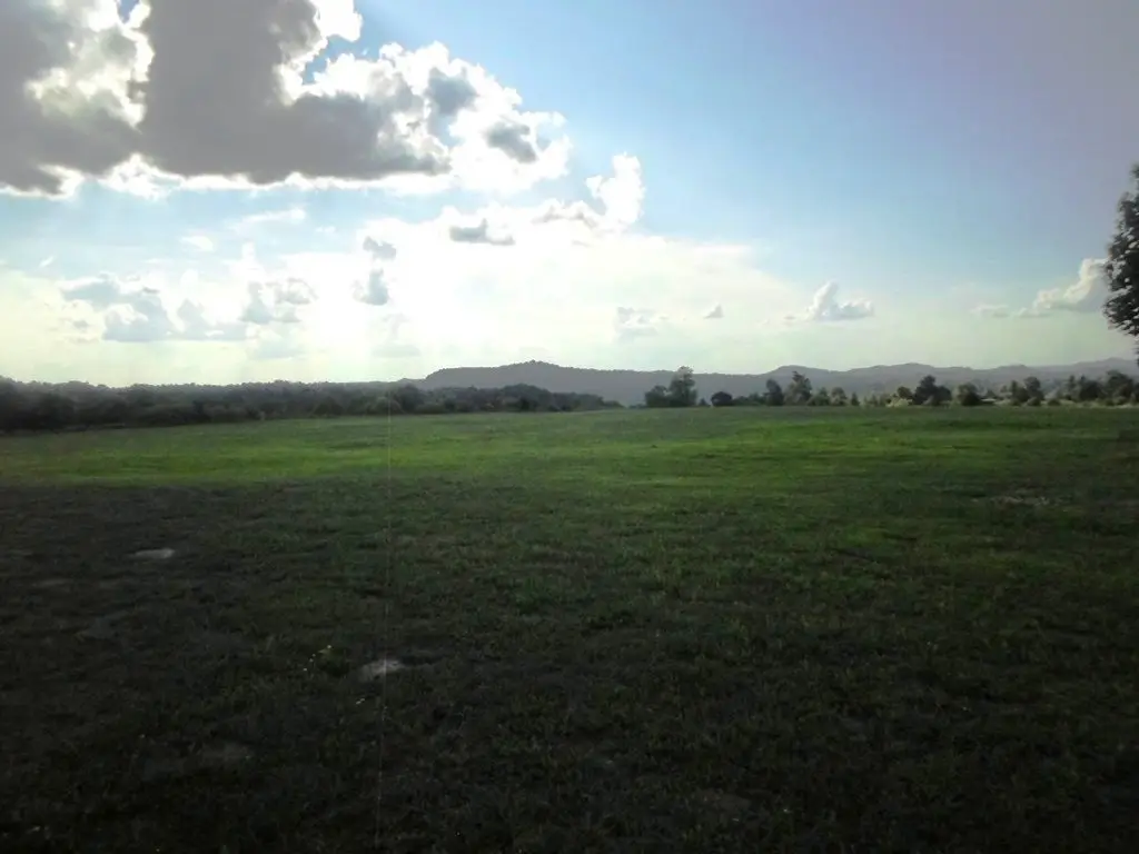 Picture 13