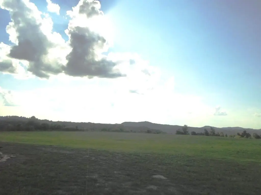 Picture 14