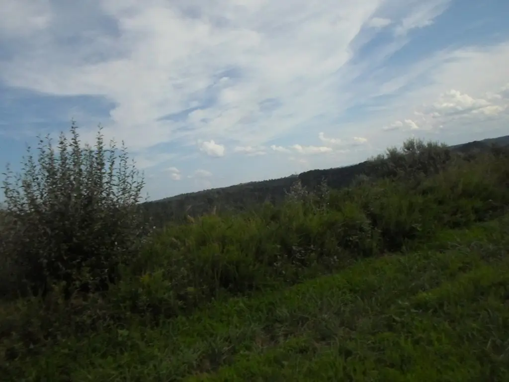Picture 4