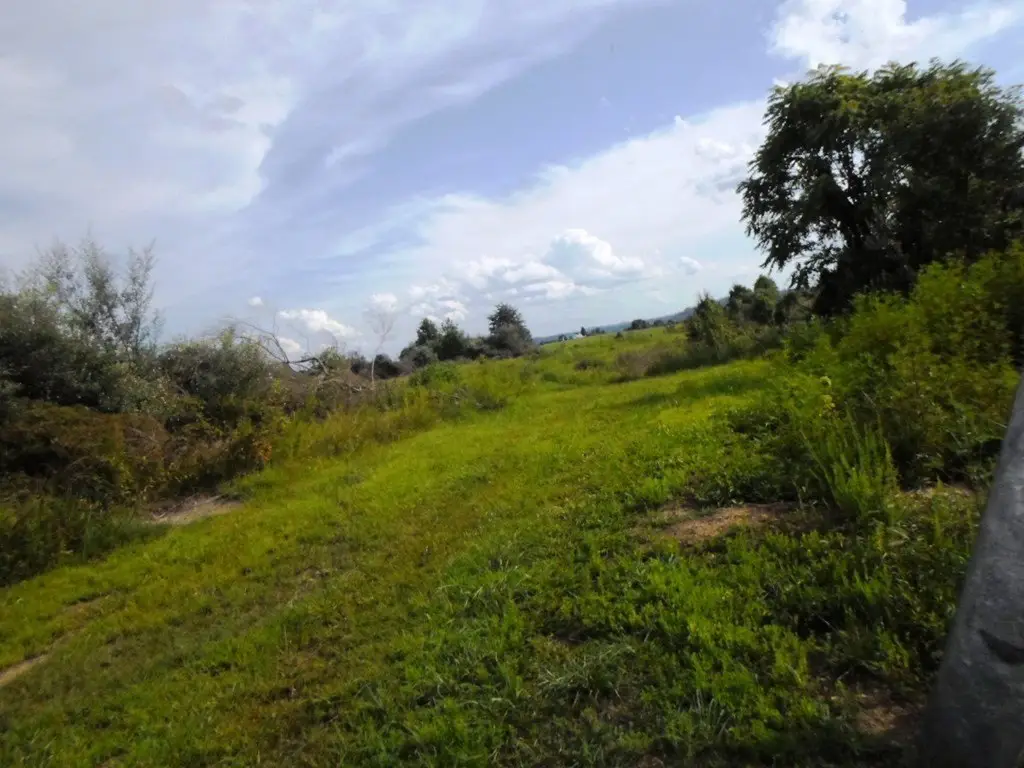 Picture 8