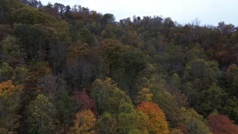 Unimproved Hillside Acreage Near Hindman