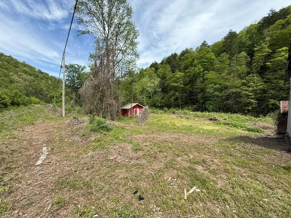 Picture 15