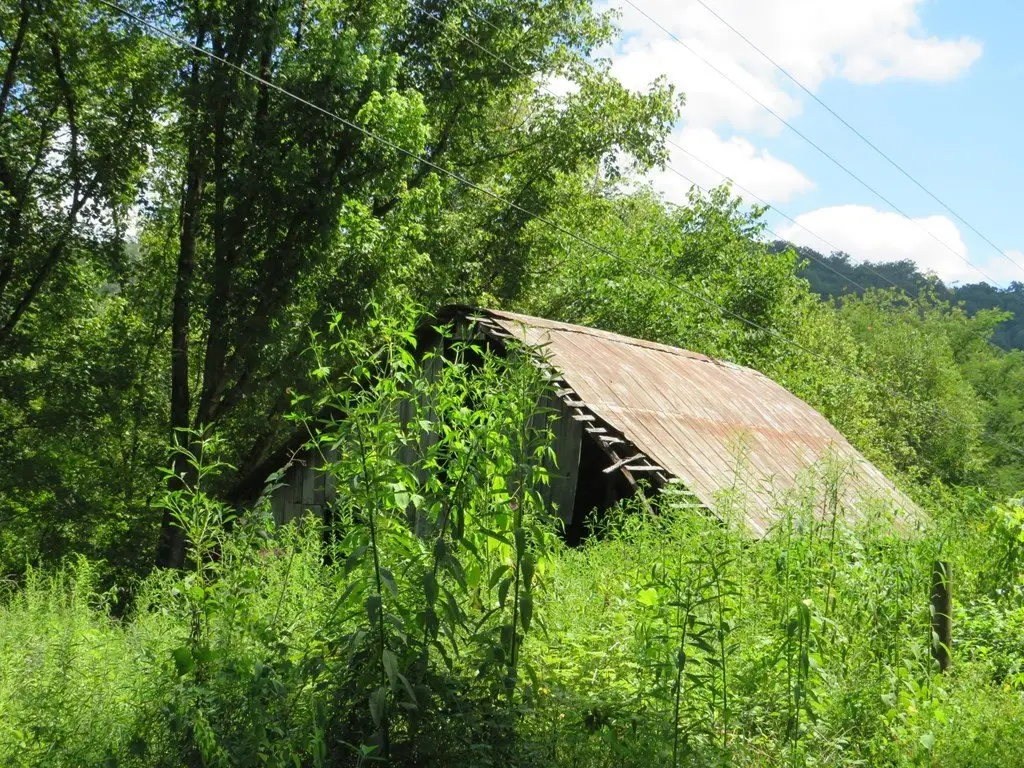 Picture 7