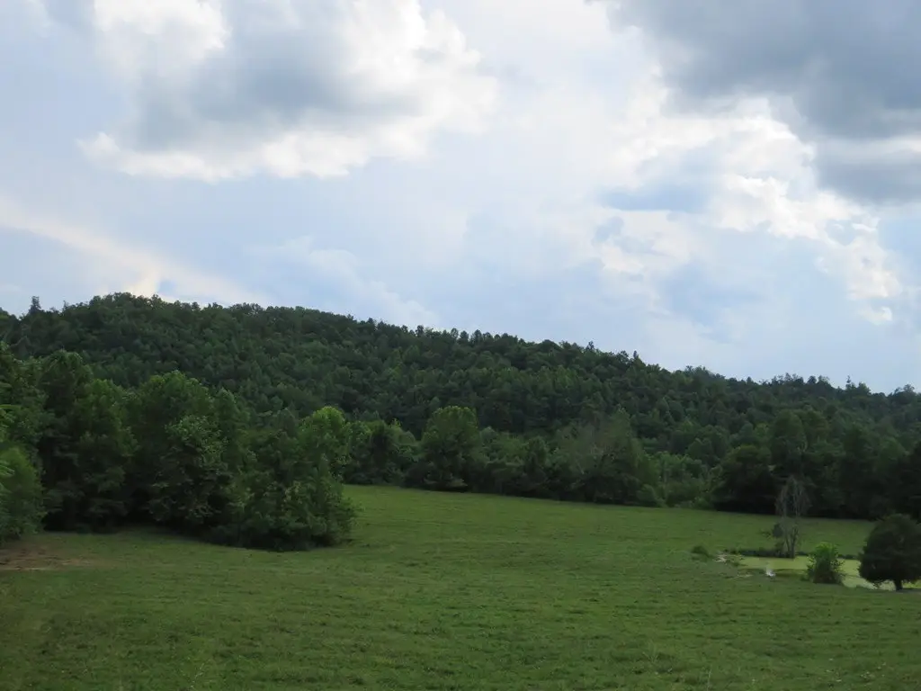 Picture 7