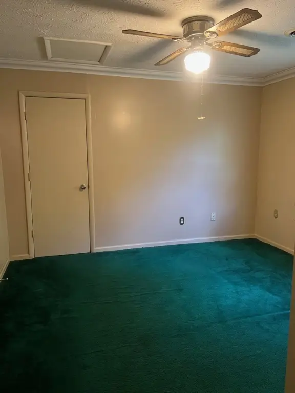 Picture 33