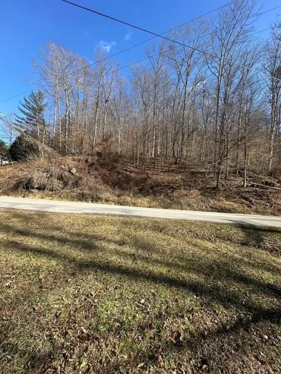 Picture 4