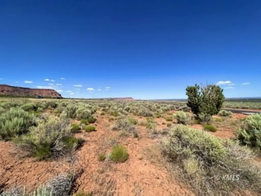 Picture 19