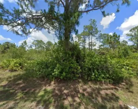 Residential Lot in Lehigh Acres