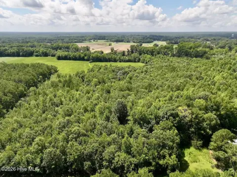 Agricultural Land with Timber
