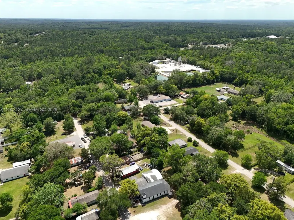 Picture 21