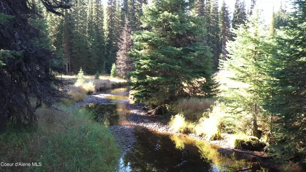 Picture 7