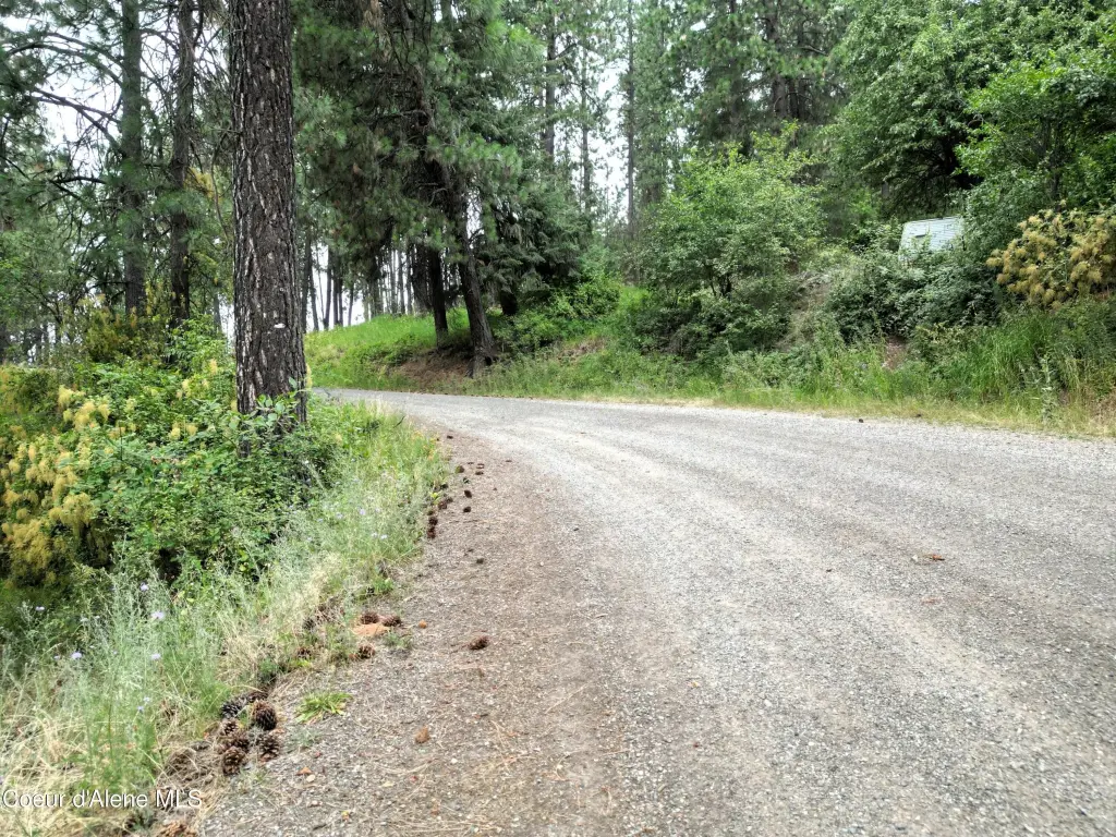Picture 4