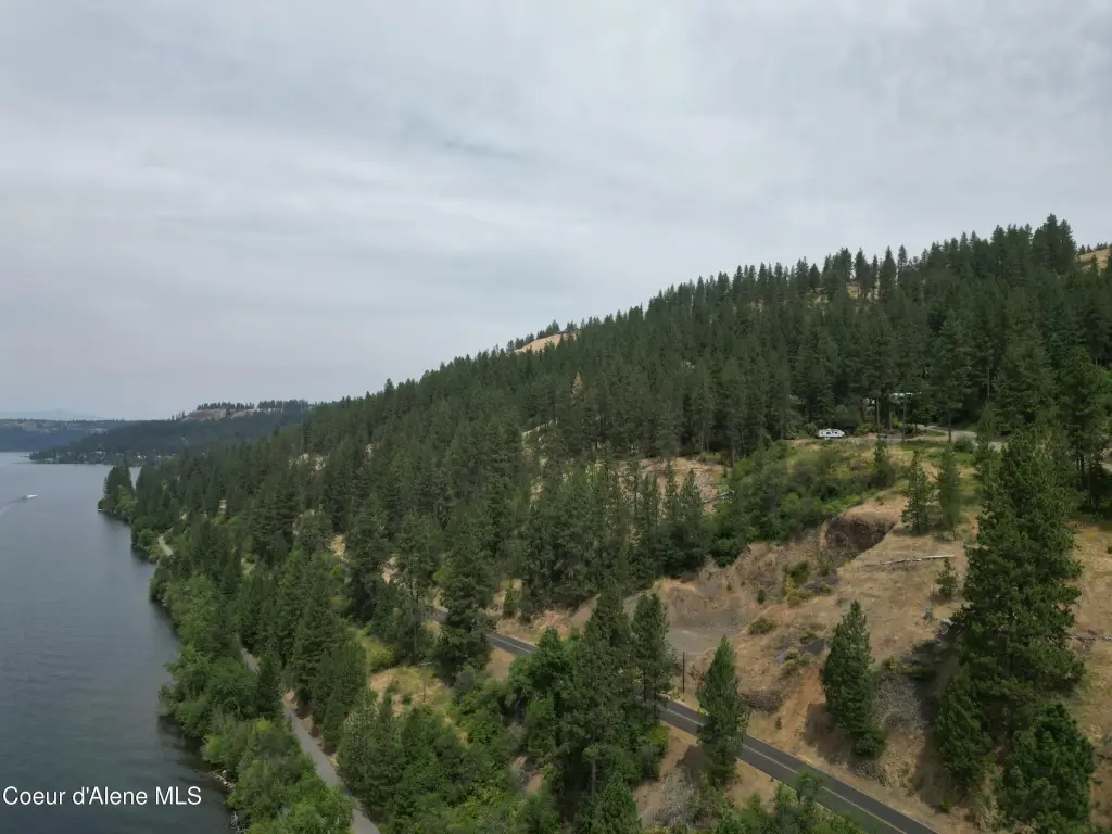 Picture 19