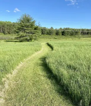 Land Near Downtown Gorham