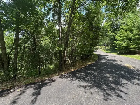 Residential Lot in Kimberling City