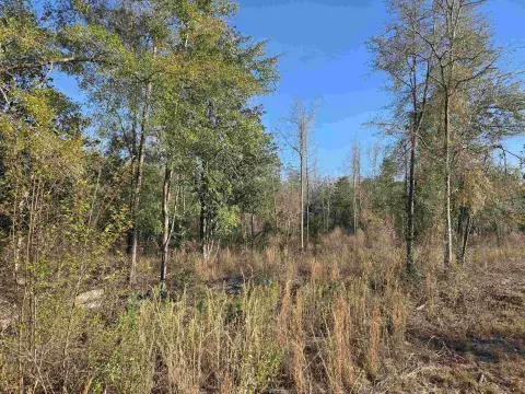 26 Acres in Liberty County