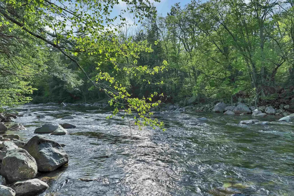 Picture 16