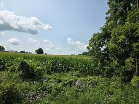 Farmland With Dual Road Frontage