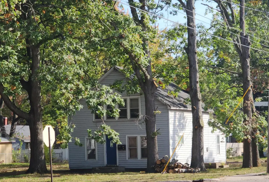 Picture 5