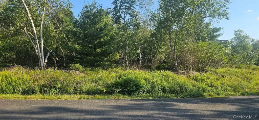 Picture 2