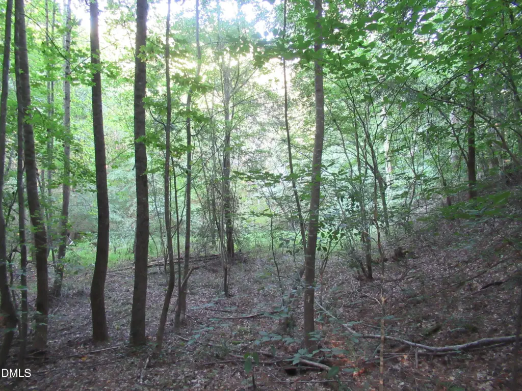 Picture 47