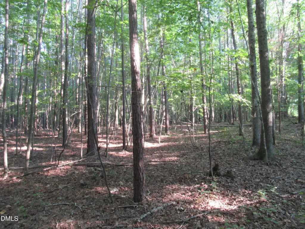 Picture 36