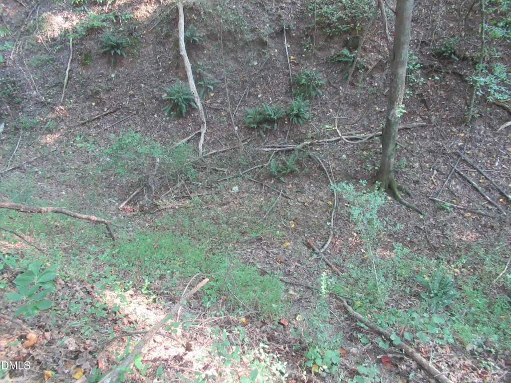 Picture 40