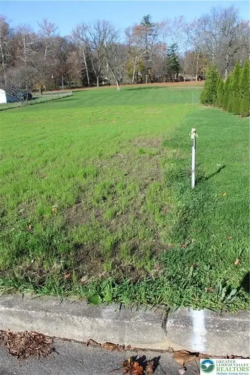 Picture 9