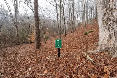 Serene Homesite in Gated Community