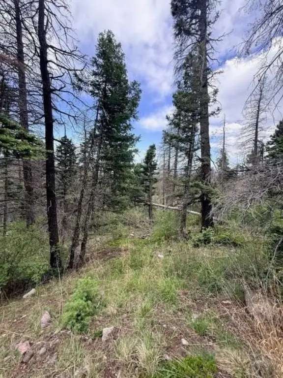 Picture 14
