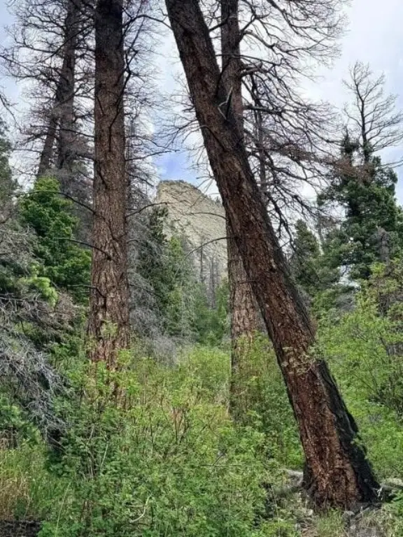 Picture 12