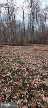 Residential Lot in Albrightsville, PA