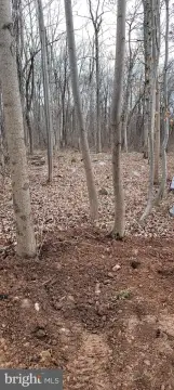 Residential Lot in Albrightsville, PA