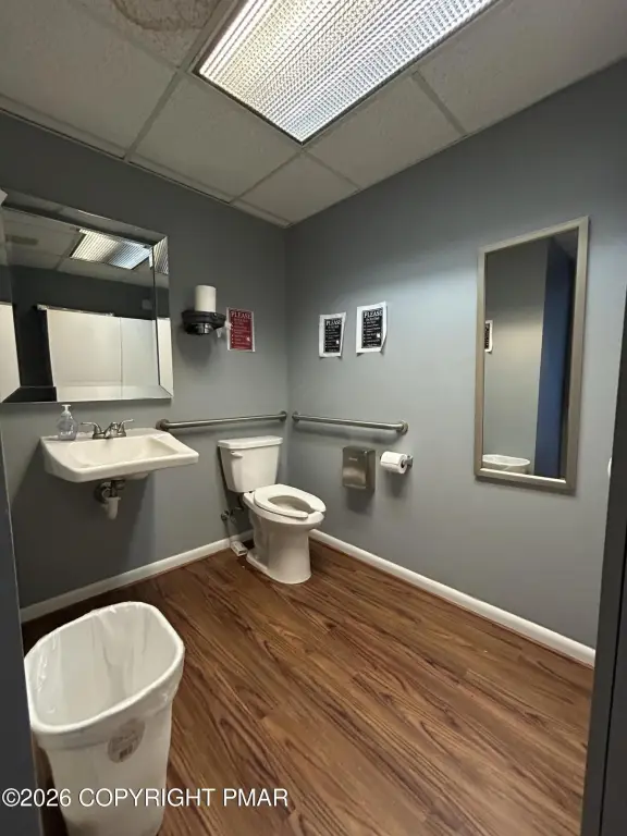 Picture 10