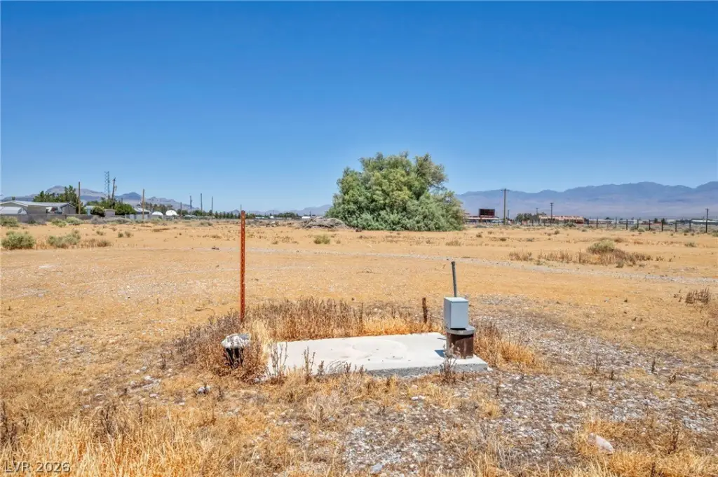 Picture 8