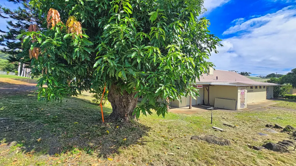 Picture 18