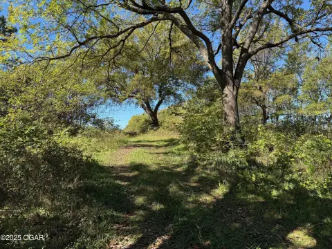 Land Near Newtonia Branch