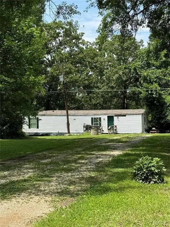Picture 23