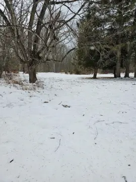 Acre Building Lot in Wood