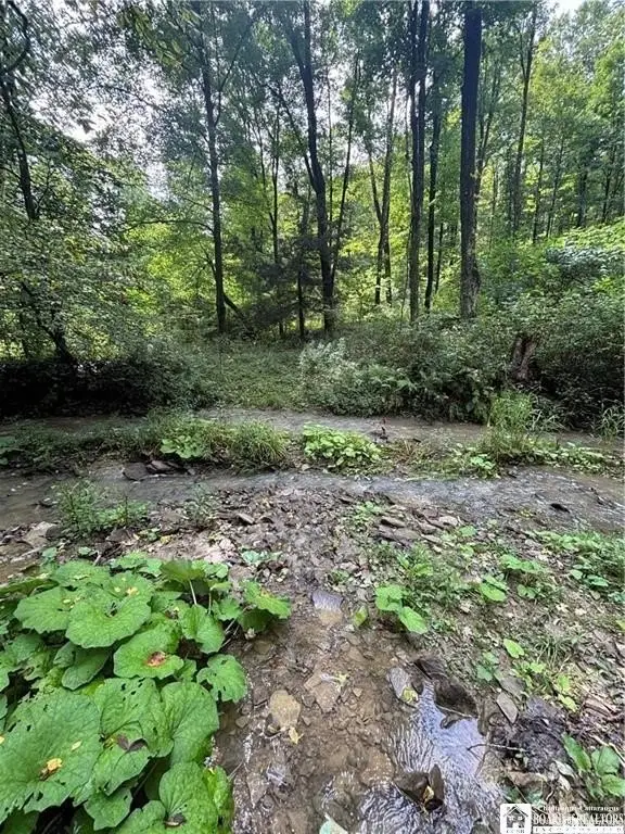 Picture 31