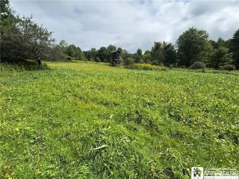 Hunting Land with Established Trails
