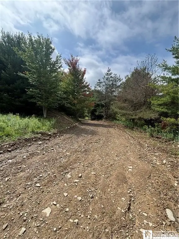 Picture 19