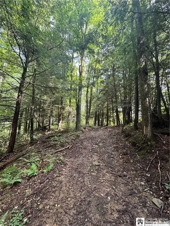 Picture 39