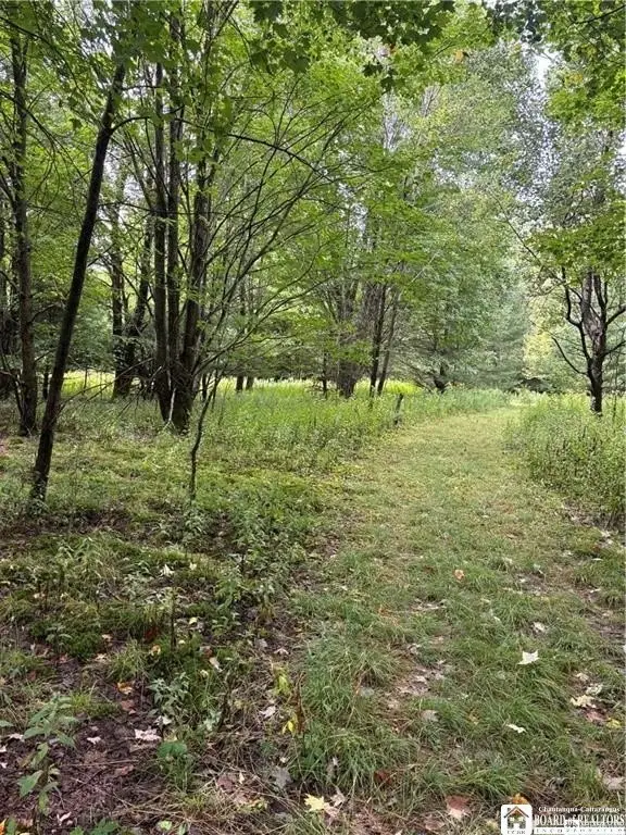 Picture 21