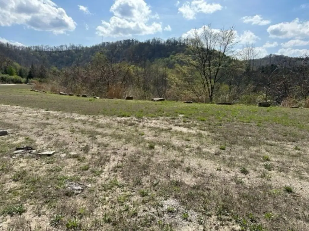 Picture 5