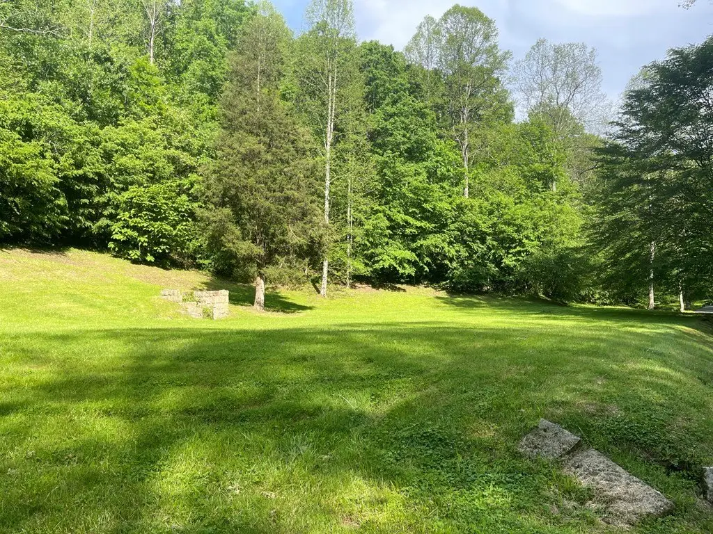 Picture 5