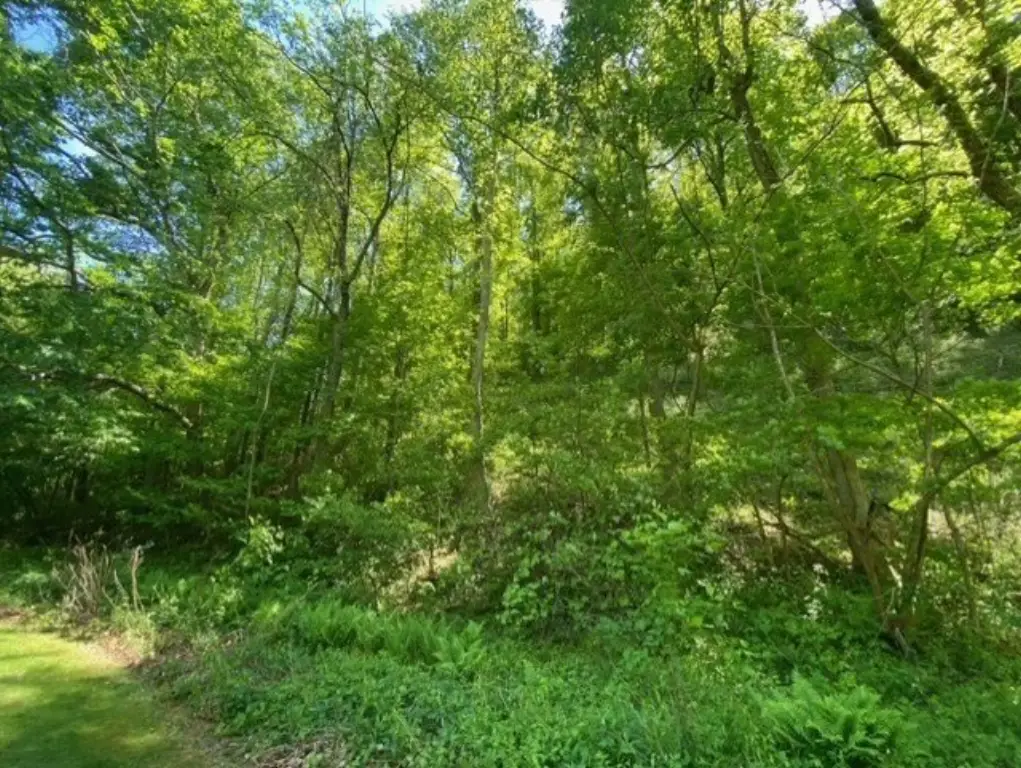 Picture 7