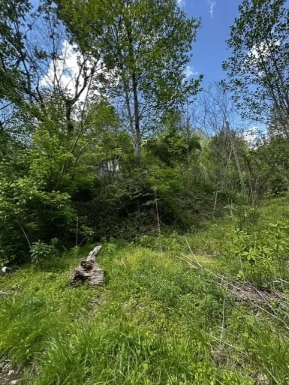 Picture 5