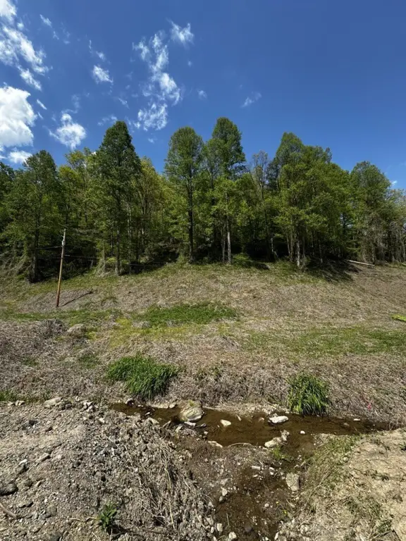 Picture 4