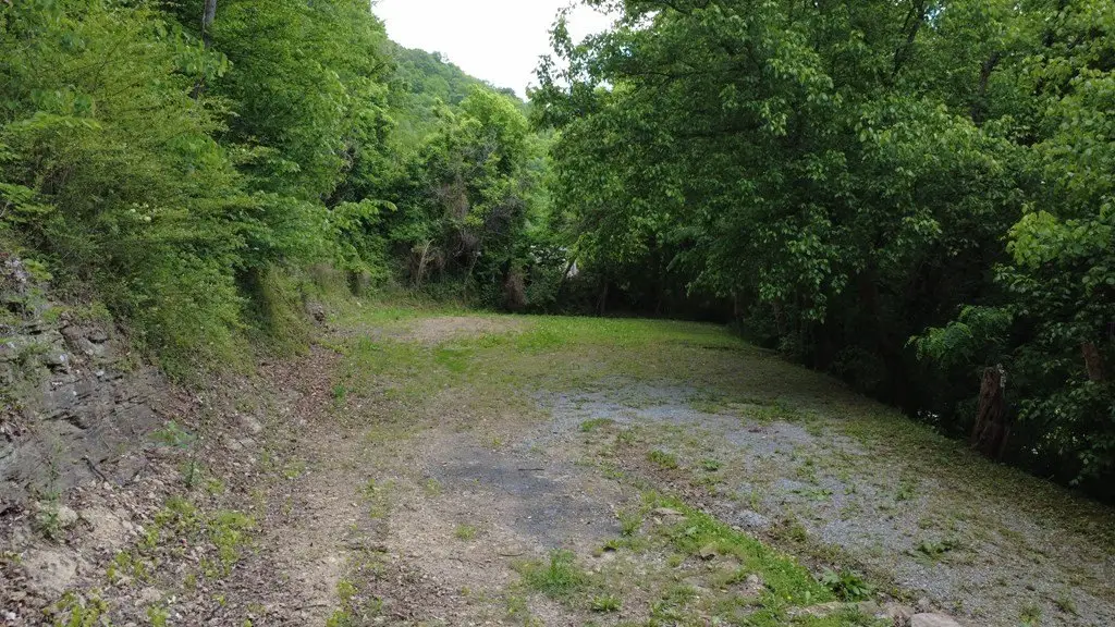 Picture 5